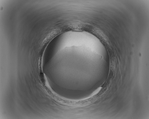 X0000087690023200705181806