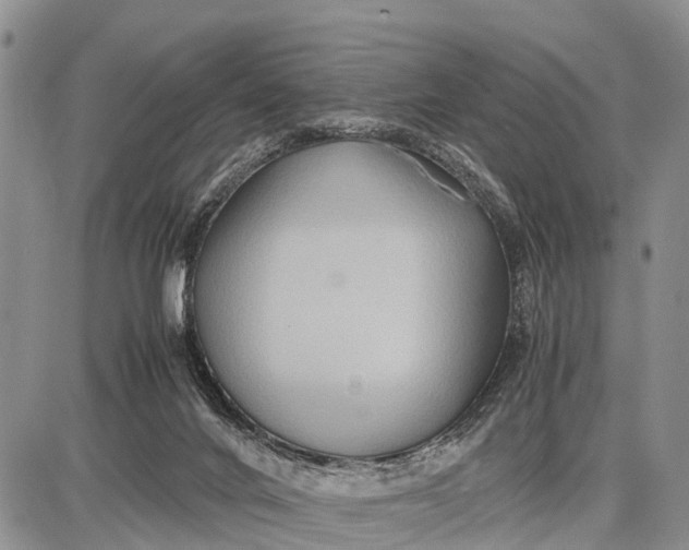 X0000087690024200705181806