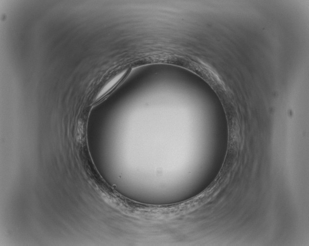 X0000087690025200705181806