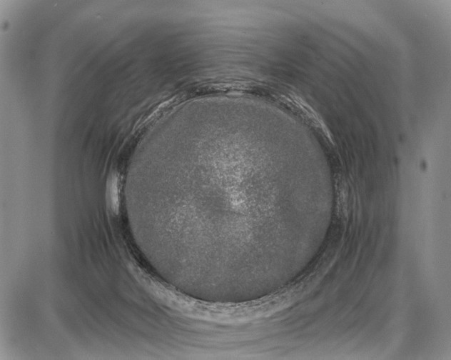 X0000087690026200705181806