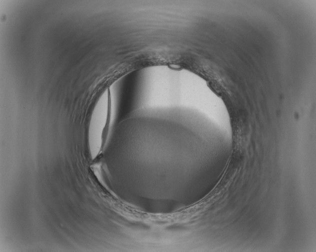 X0000087690027200705181806