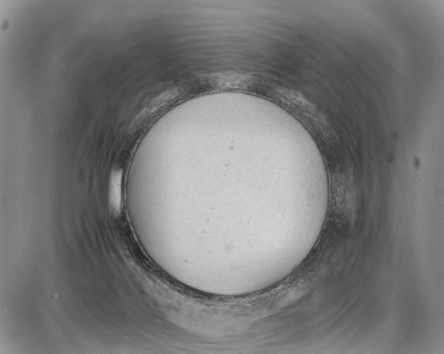 X0000087690028200705181806