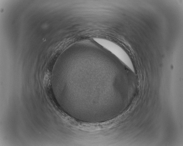 X0000087690029200705181806