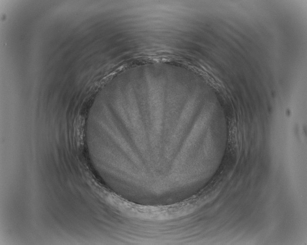 X0000087690030200705181806