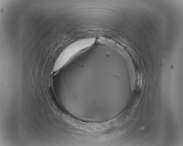 X0000087690031200705181806