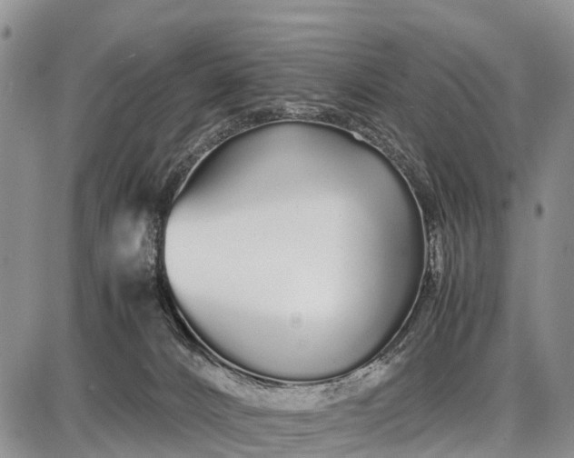 X0000087690032200705181806