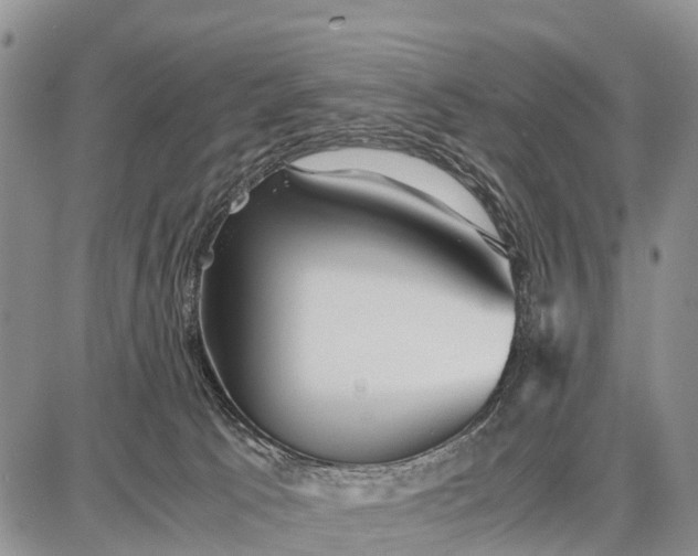 X0000087690033200705181806