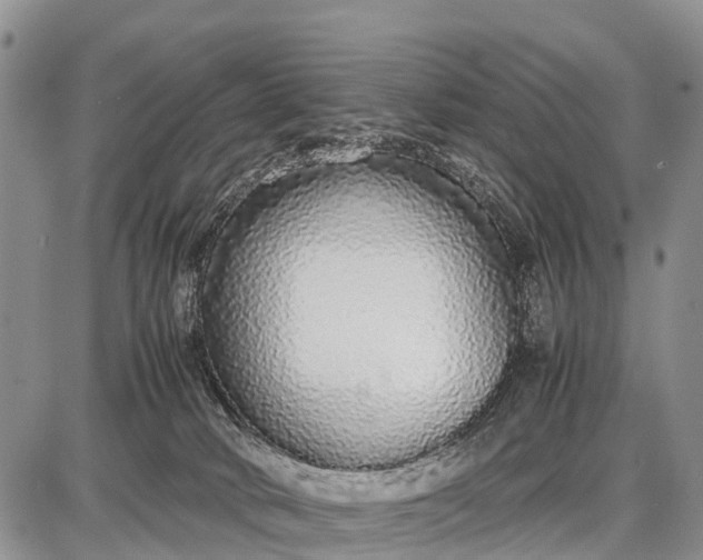 X0000087690034200705181806