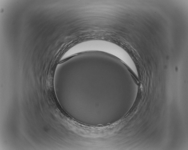 X0000087690035200705181806