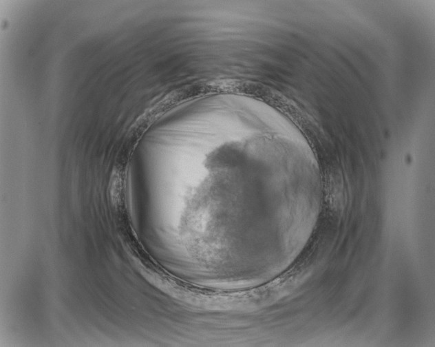 X0000087690036200705181806