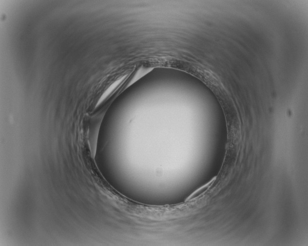 X0000087690037200705181806