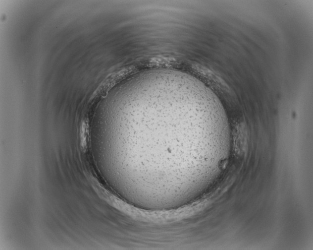 X0000087690038200705181806