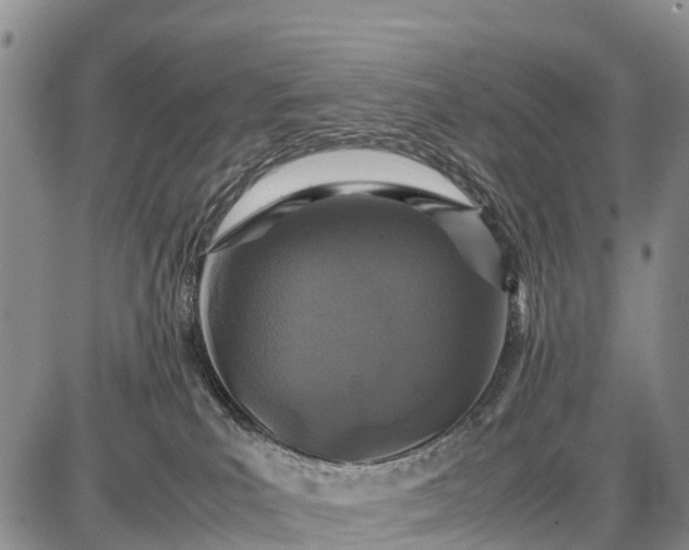 X0000087690039200705181806