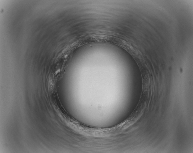 X0000087690040200705181806