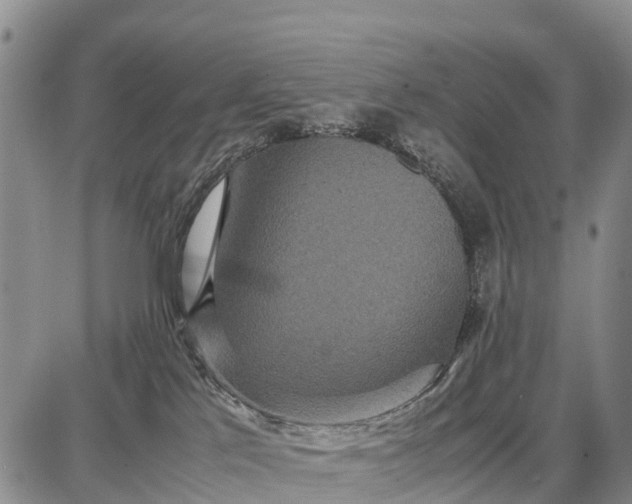 X0000087690041200705181805