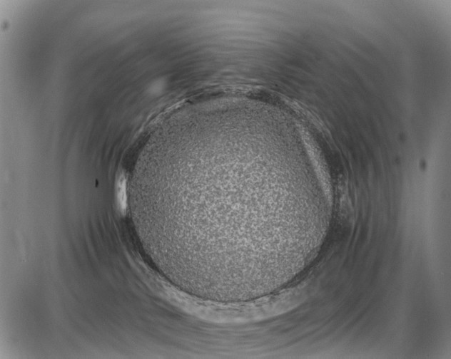 X0000087690042200705181805