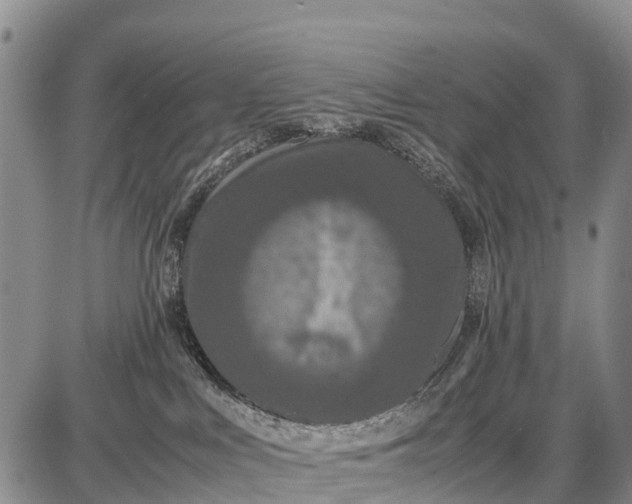 X0000087690043200705181805