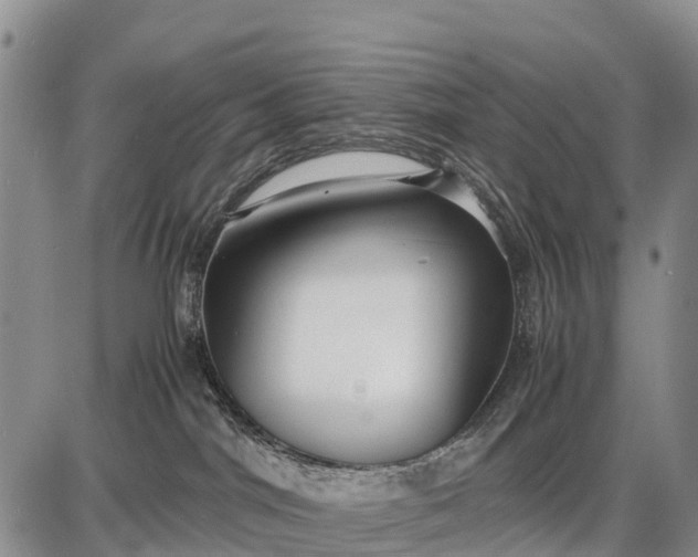 X0000087690044200705181805