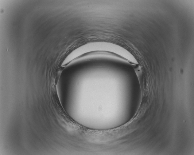 X0000087690045200705181805