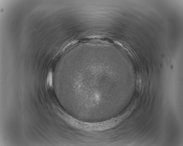 X0000087690046200705181805