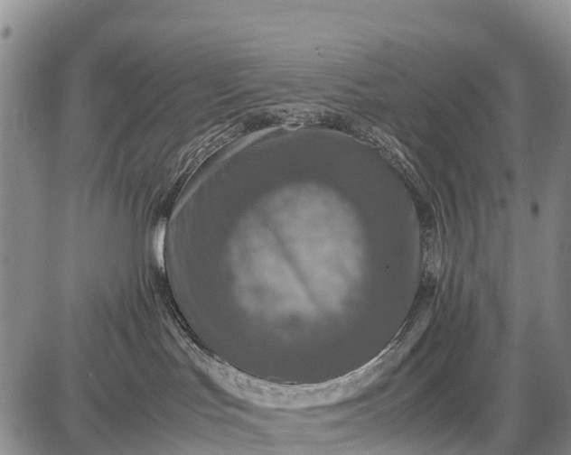 X0000087690047200705181805