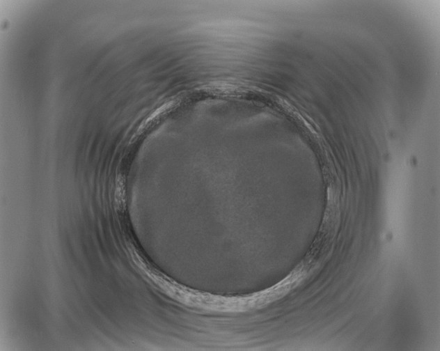 X0000087690048200705181805