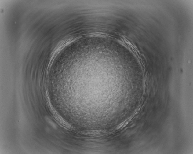 X0000087690049200705181805