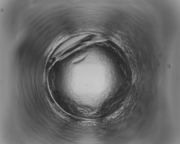 X0000087690050200705181805