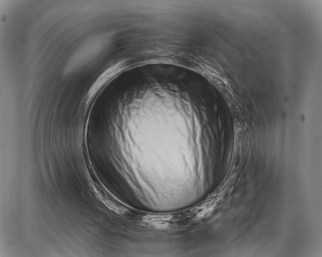 X0000087690051200705181805