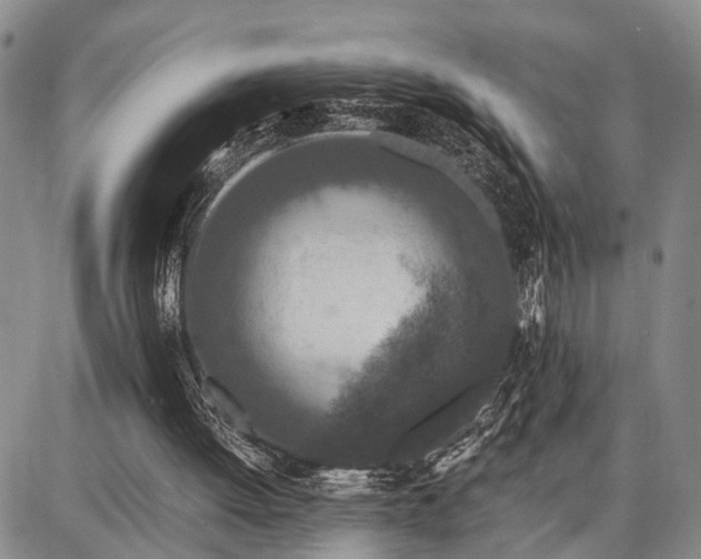 X0000087690052200705181805