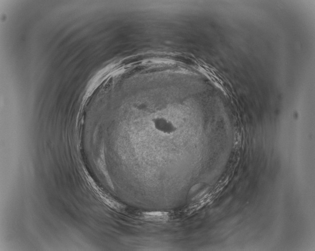 X0000087690053200705181805