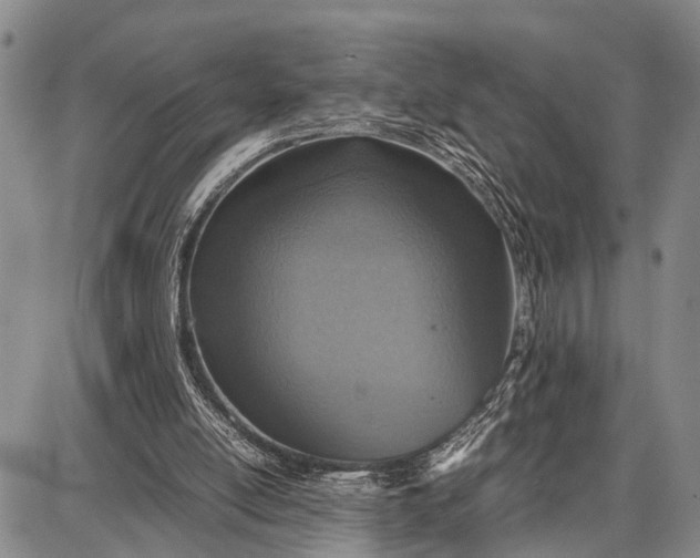 X0000087690054200705181805