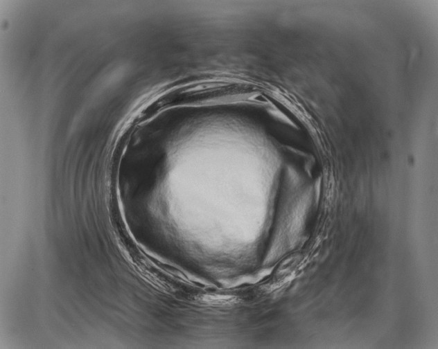 X0000087690055200705181805