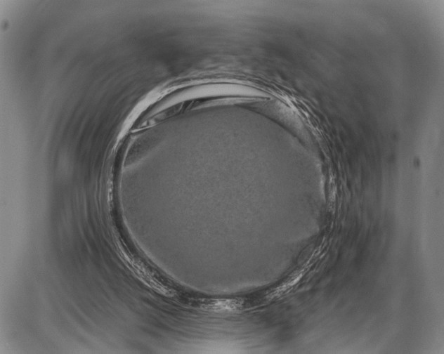 X0000087690056200705181805