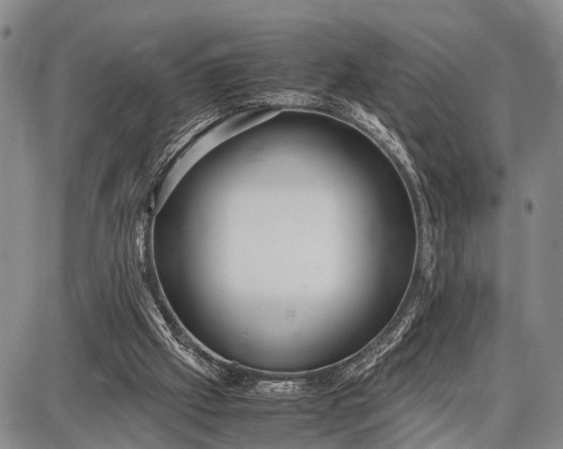 X0000087690057200705181805