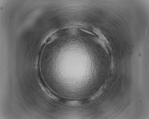 X0000087690058200705181805