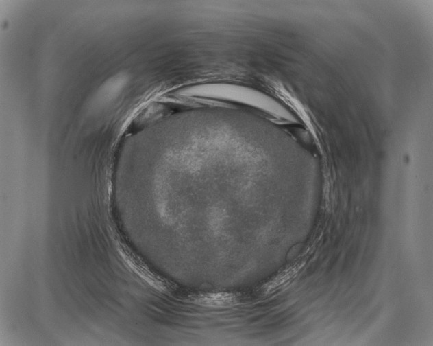 X0000087690059200705181805