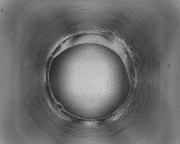 X0000087690060200705181805