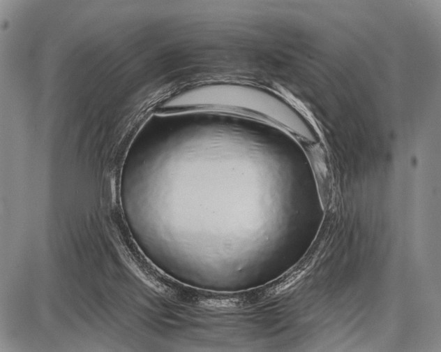 X0000087690061200705181805