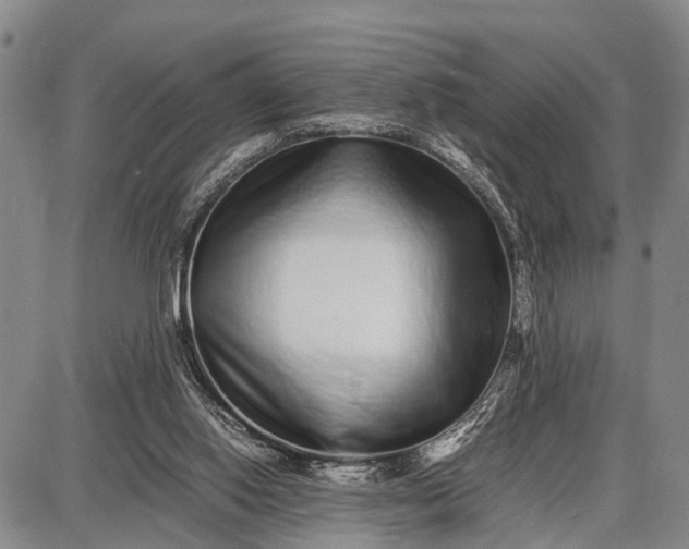 X0000087690062200705181805