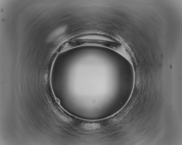 X0000087690063200705181805