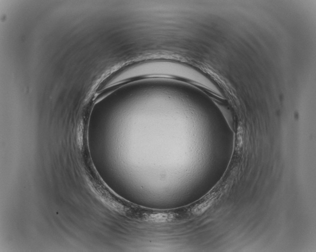 X0000087690064200705181805