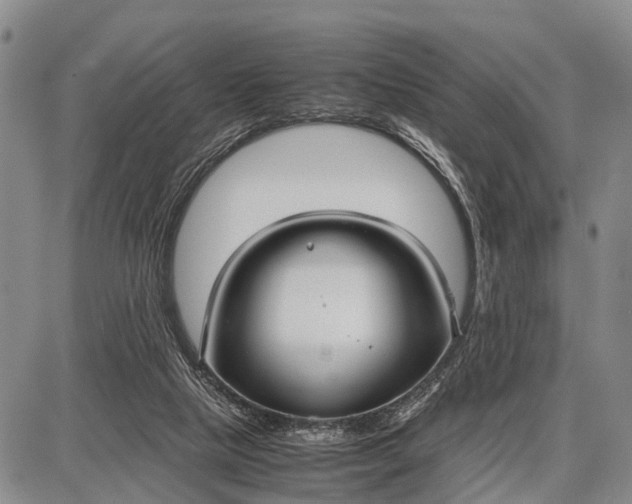 X0000087690065200705181805