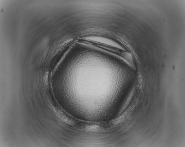 X0000087690066200705181805