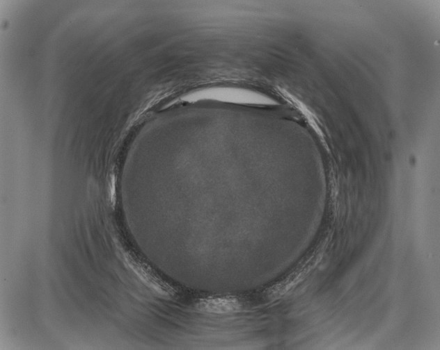 X0000087690067200705181805