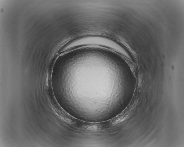 X0000087690068200705181805