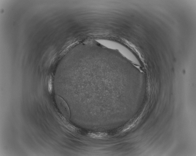 X0000087690069200705181805