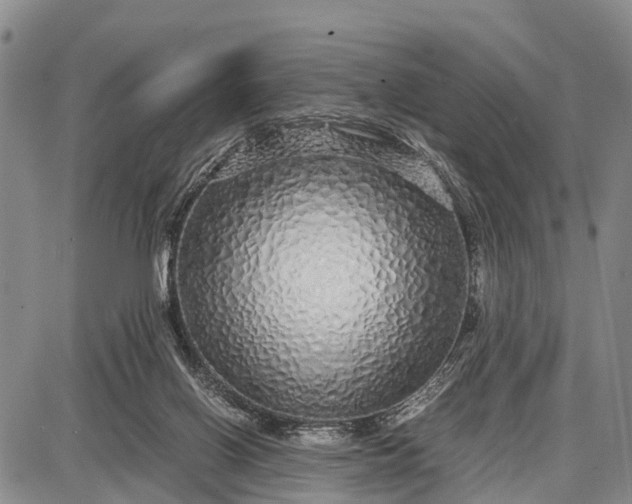 X0000087690070200705181805