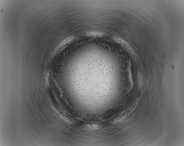 X0000087690071200705181805