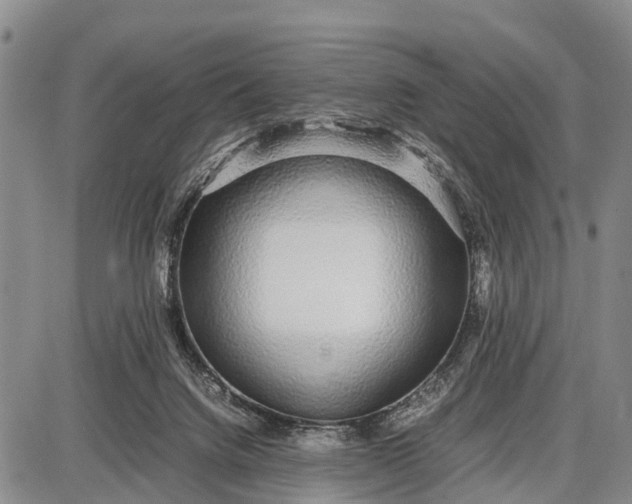 X0000087690072200705181805